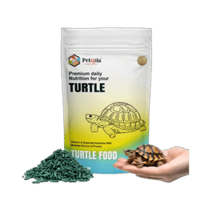 TurtTreats